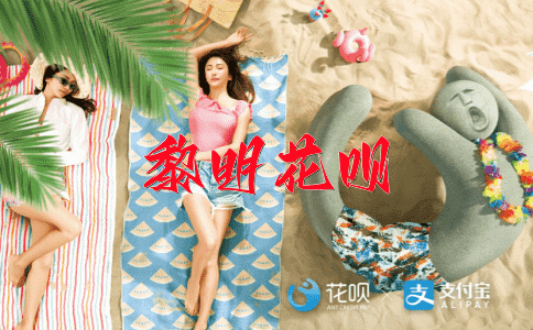 讠珠弹雀花呗